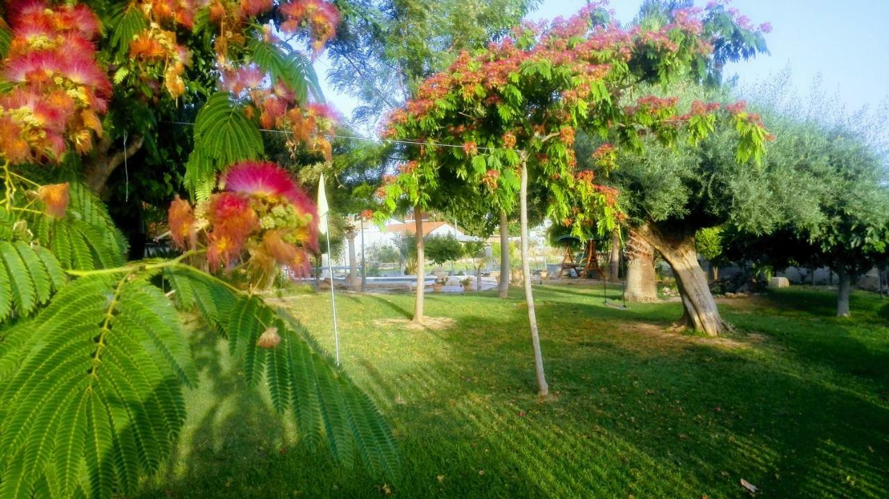 La Toscana Murcia Exterior photo